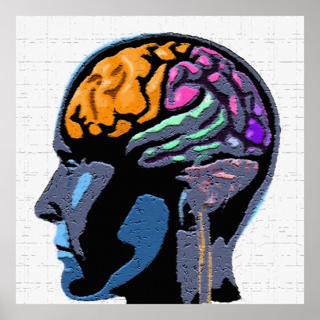 Pôster Arte da Mente Humana (Frente)