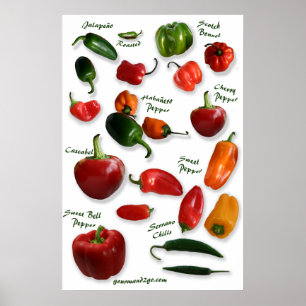 Poster Arte da parede das variedades do pimentão