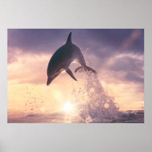 Poster Arte da parede do golfinho