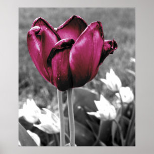 Poster Arte da tulipa