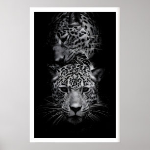 Poster Arte de Animais Selvagens Preto e Branco com Rosto