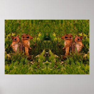 Poster Arte de Animais Silvestres Esquilos-Bebês