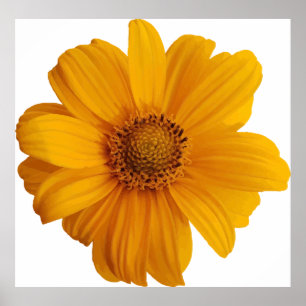 Poster Arte de anotação