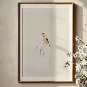 Poster Arte de Aquarela Americana Goldfinch Cantando Uma 