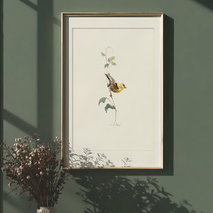 Poster Arte de Aquarela Americana vibrante Goldfinch