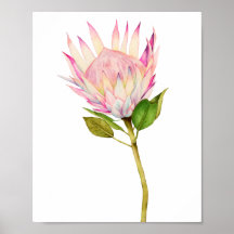 Arte de Aquarela Floral Rosa Exótica