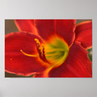 Pôster Arte de Augle.