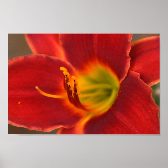 Pôster Arte de Augle. (Frente)