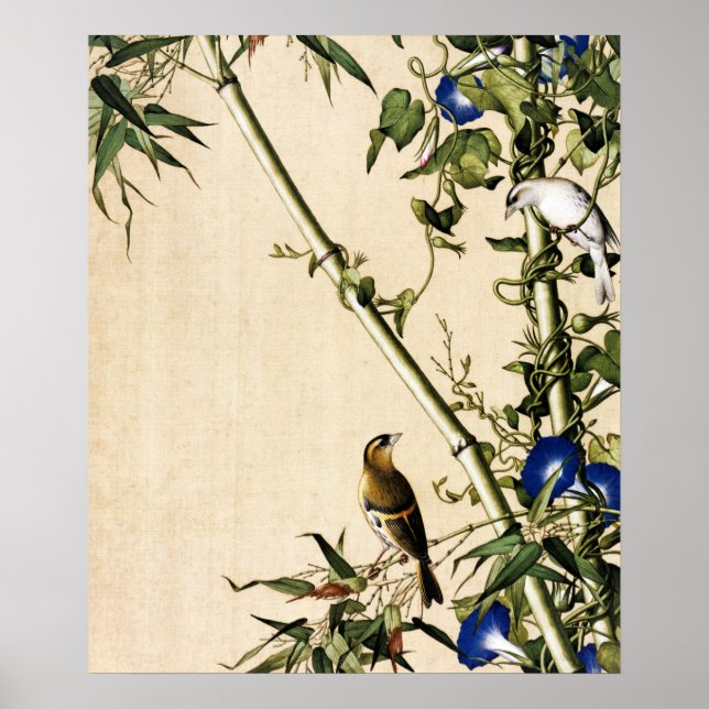 Poster Arte de Bambú Antigo e Maravilha-da-Manhã Azul (Frente)