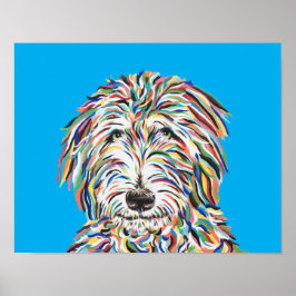 Poster Arte de Bernedoodle