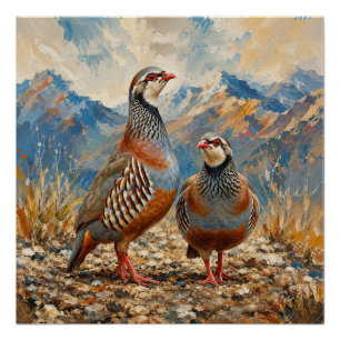 Pôster Arte de casal de perdiz Chukar