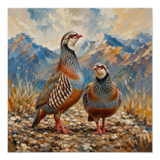 Pôster Arte de casal de perdiz Chukar (Frente)