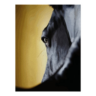 Pôster Arte de Close-Up do Olho de Cavalo Majestoso