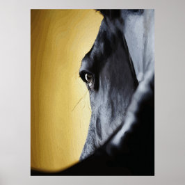 Poster Arte de Close-Up do Olho de Cavalo Majestoso