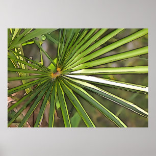Poster Arte de Contorno de Palma Tropical Preta