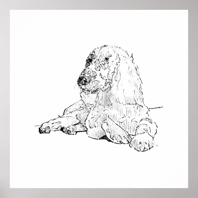 Poster Arte de desenho de linha do Cocker Spaniel Cachorr (Frente)