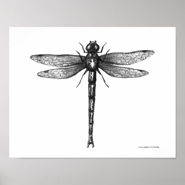 Poster Arte de drenagem de canetas de tinta Dragonfly (Frente)