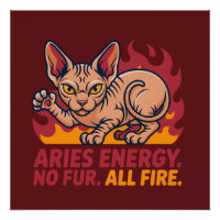 Arte de Energia do Zodíaco Fogo do Gato Sphynx de