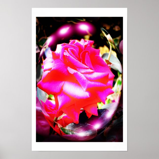 Pôster arte de espíritos de rosa (Frente)