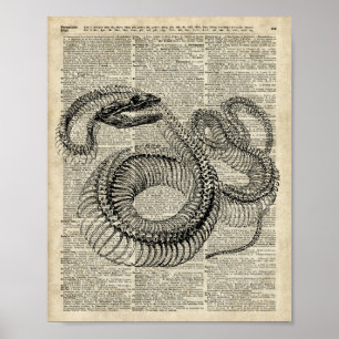 Pôster Arte de esqueleto da página do dicionário do