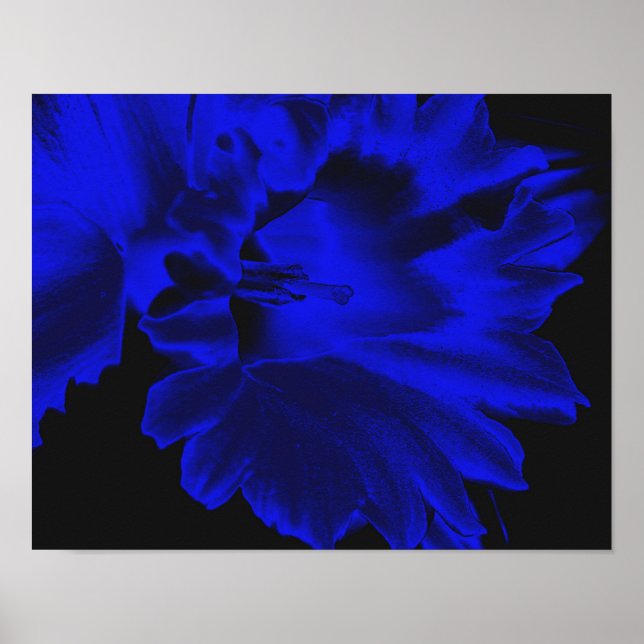 Poster Arte de Flor Abstrato Daffodil Elétrica Azul (Frente)