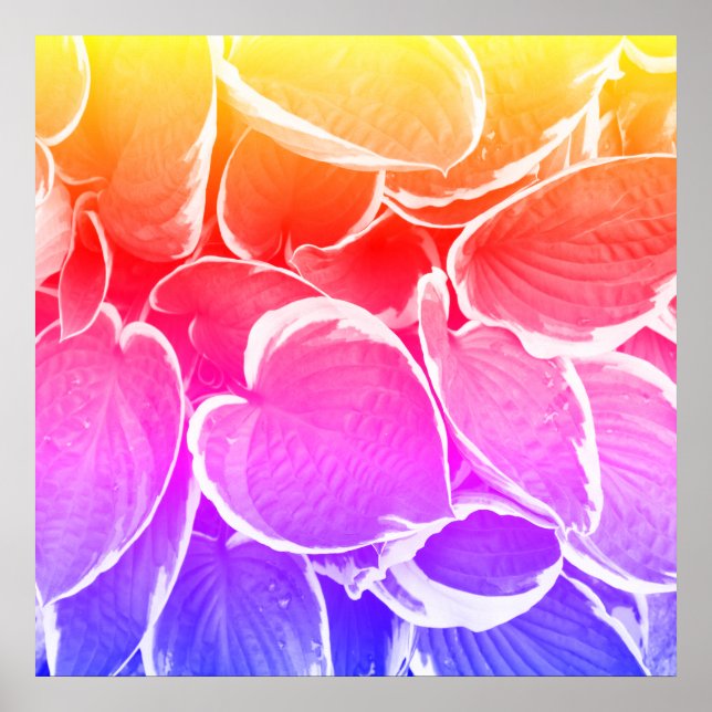 Poster Arte de folhas lindas (Frente)