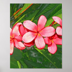 Poster Arte de Frangipani Tropical Rosa