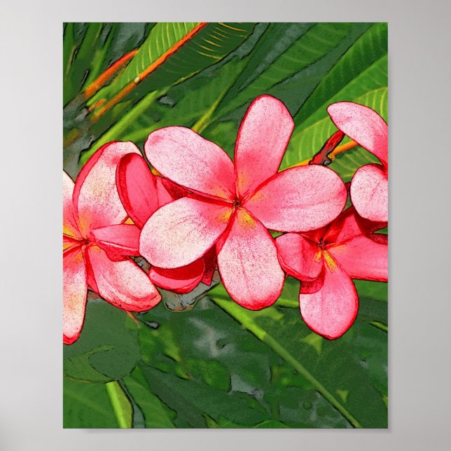Poster Arte de Frangipani Tropical Rosa (Frente)