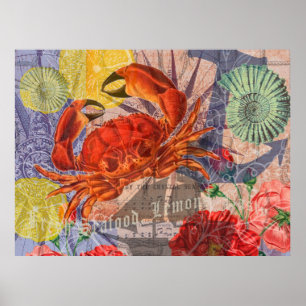 Poster Arte de frutos do mar de praia náutica de carangue