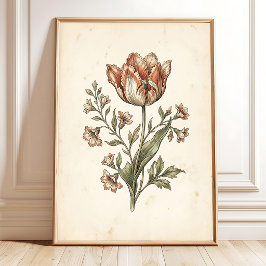 Poster Arte de Galeria Botânica de Tulipa Parrot Vintage