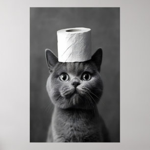Poster Arte de Gato British Shorthair para Banheiro, Pape