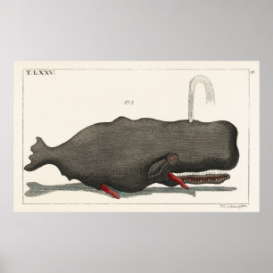 Poster Arte de Ilustração em Xilogravura de Baleia Vintag