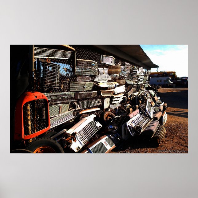 Poster Arte de jardim de ferro (Frente)