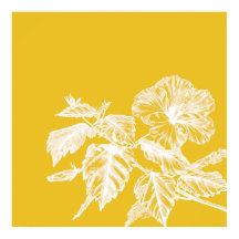 Arte de linha de flor de Hibiscus minimalista