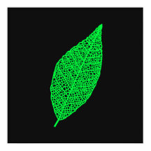 Arte de linha de Folha de Esqueleto Preta e Verde