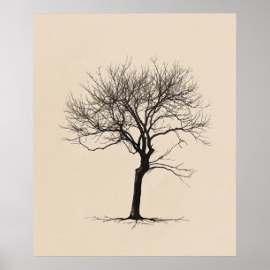 Poster Arte de linha minimalista da velha árvore torcida