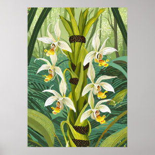 Poster Arte de Orquídea V24