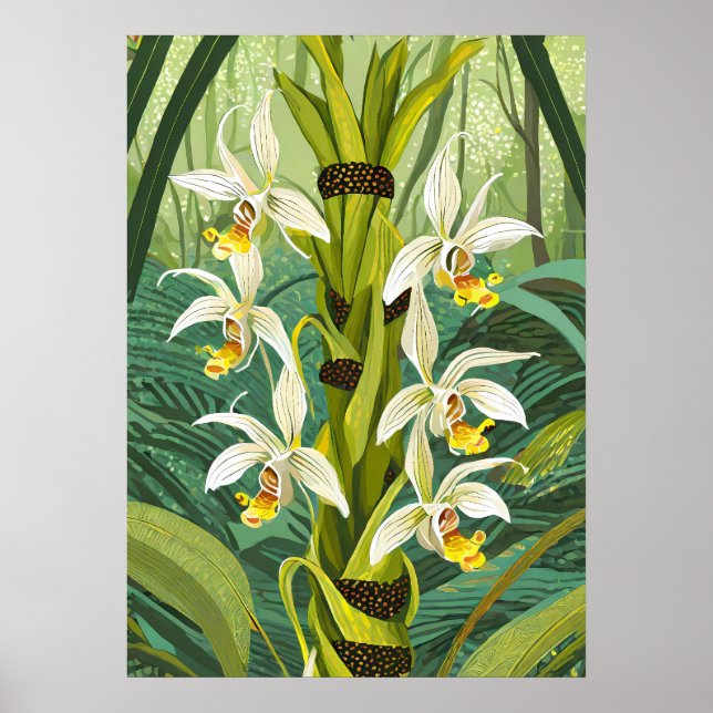 Poster Arte de Orquídea V24 (Frente)