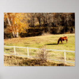 Poster Arte de outono no País Russo dos Cavalos