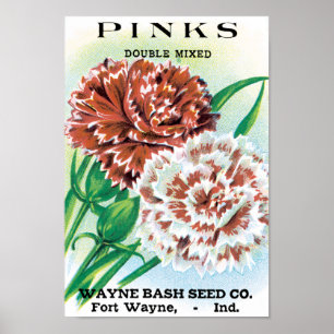 Poster Arte de Pacote de Sementes Antigas, Flores de Crav