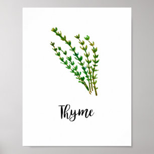 Poster Arte de Palavra de Pintura em Aquarela Herb