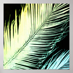 Poster arte de palmeira tropical moderna