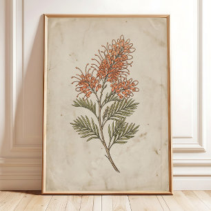 Poster Arte de Parede Boho Farmhouse Grevillea Vintage