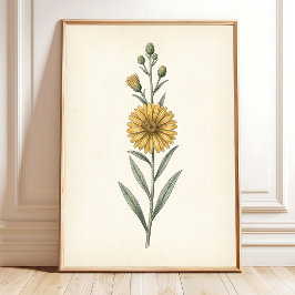 Poster Arte de Parede Botânica Vintage Cottage Core