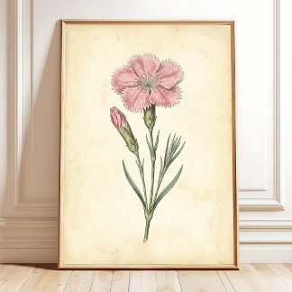 Poster Arte de Parede Botânica Vitoriana Dianthus