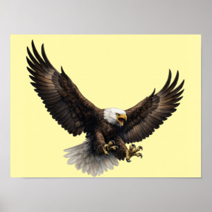 Poster Arte de Parede de Águia Careca Majestosa em Voo