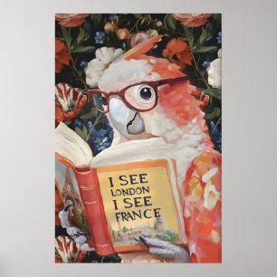 Poster Arte de Parede de Banheiro de Papagaio Excêntrico