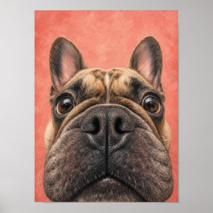 Poster Arte de Parede de Bulldog Francês — Close-Up Engra