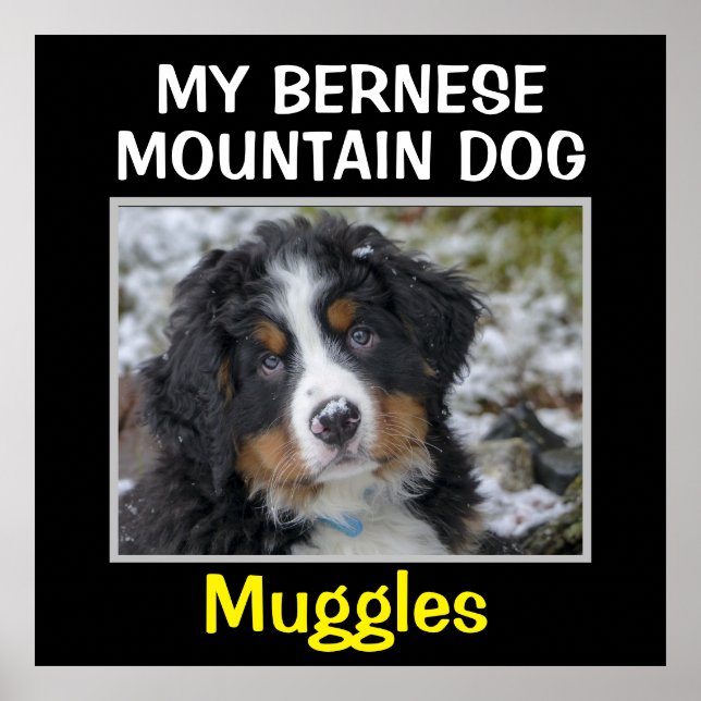 Poster Arte de Parede de Cachorros Personalizada (Frente)