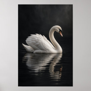 Poster Arte de Parede de Cisne Mudo Branco em Água Escura